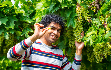 Happy young farmer in grapes farm, Agriculture grape farm, Rural agriculture India concept.