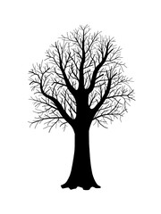 Tree silhouette isolated vector