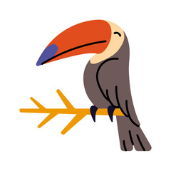Wild jungle animal. Exotic bird from tropical forest, rainforest. Toucan with big colorful beak sit on branch. Black tocan relax, rest. Zoo flat isolated vector illustration on white background