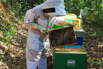 beekeeper working in his apiary