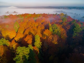 autumn landscape with fog