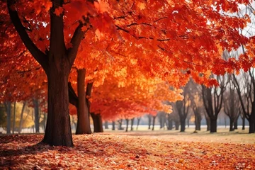 Poster Autumn background landscape © Zaleman