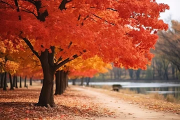 Türaufkleber Autumn background landscape © Zaleman