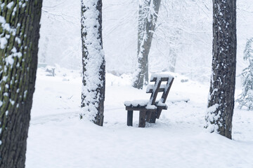 Snow covered wooden bench in a winter park