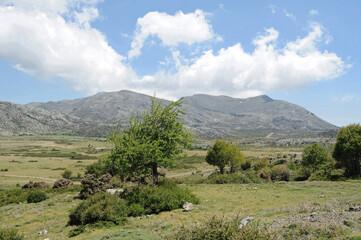 Fototapeta na wymiar Le plateau du Nida vu depuis le pied du mont Ida près d'Anogia en Crète