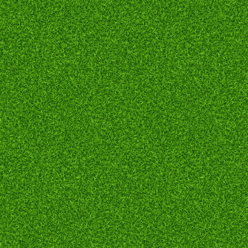 Lawn grass texture seamless texture. Vector