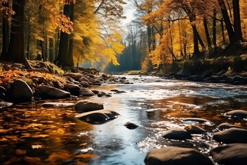 Autumn river landscape.