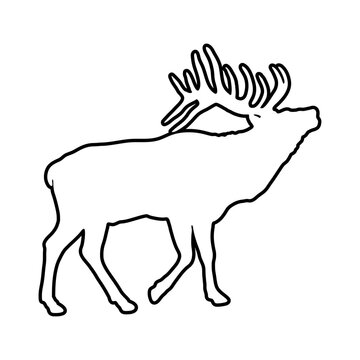 Silueta lineal de ciervo o reno de pie bramando