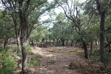 Esporles, Spain - 11 June, 2023: Stone agricultural buildings on the GR221 trail in Mallorca's Tramuntana mountains