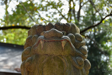 藤武神社の狛犬