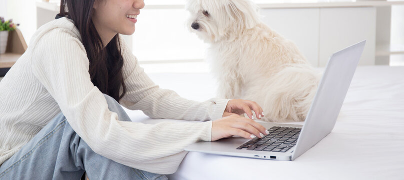 Beautiful Young Asian Woman Sitting Working On Laptop Computer To Internet Online With Cozy With Companion Dog In The Bedroom At Home, Woman Using Notebook Leisure With Pet, Lifestyles Concept.