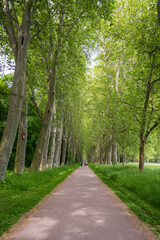 Stuttgart Garden Park, Schlossgarten or the Castle Gardens