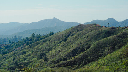 Naklejka premium mountains in the mountains