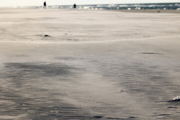 Wydmy na piaszczystej plaży nad morzem. Piach.