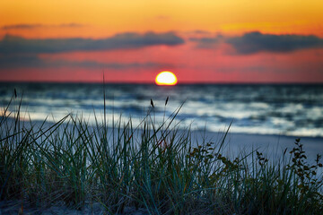 Zachód słońca nad morzem na tle traw. - obrazy, fototapety, plakaty