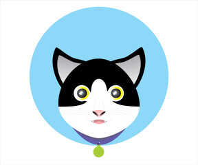 illustration of a cat's head with a collar, with a blue circle background
