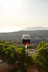 Vin rouge au soleil