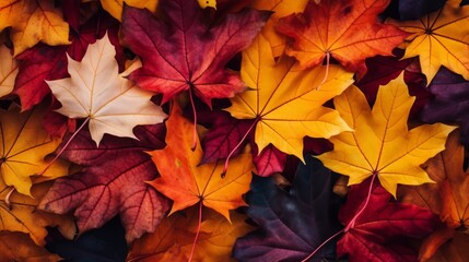 Naklejka na ściany i meble Autumn leaves background, Generative AI