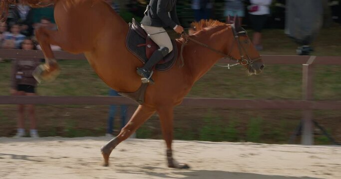 Professional male jockey rides on horseback. Horse is galloping and jumping through a barrier in competition