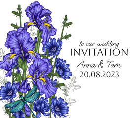 Vector invitation template with chicory flowers, blue irises and dragonfly	