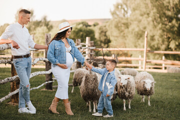 Stylish family in summer on a village farm with sheep
