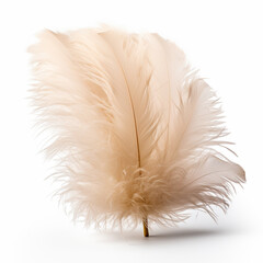 Single fluffy feather isolated on white, ai technology