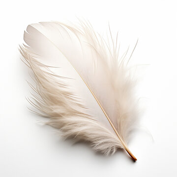Single fluffy feather isolated on white, ai technology