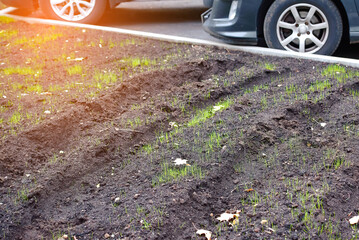Tire tracks on green lawn with young green grass, cars parked in the parking lot on background. Car...