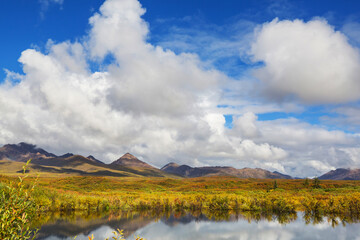Autumn in polar tundra