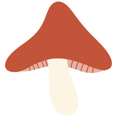Red Mushroom Illustration