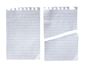 Torn paper piece on transparent background with copy space. Ripped paper png. Blank notebook page.
