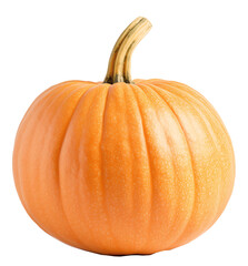 Orange pumpkin isolated on the transparent background PNG. AI generative.	
