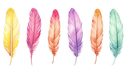 Set of bird feathers on transparent background