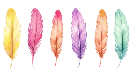 Raamstickers Veren Set of bird feathers on transparent background