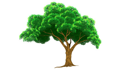 green tree with high resolution 8k , cartoon tree png