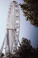 White ferris wheel in a park with greenery