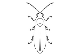 Black and White Firefly Clipart. Coloring Page of a Firefly