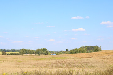 Obraz premium simple summer landscape, mowed field, trees in the background and blue sky