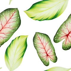 Watercolor seamless pattern with realistic tropical leafs. Illustration of monstera, caladium , ficus leafs isolated on white background. Beautiful botanical hand painted floral elements. For desig