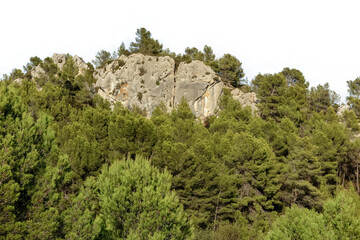 Mountains, rocky cliff covered with vegetation isolated on white background