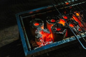 簡易バーベキューで焼き鳥