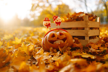 Funny Halloween pumpkins among the yellow fallen leaves in the autumn park. Holiday concept.