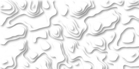 paper cut 3d render topography abstract ,beautiful white color palette colors, waves and layers, flat fiber structures, holes, macro texture digital art Pattern with lines and dots The stylized height