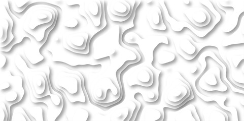 Fototapeta premium paper cut 3d render topography abstract ,beautiful white color palette colors, waves and layers, flat fiber structures, holes, macro texture digital art Pattern with lines and dots The stylized height