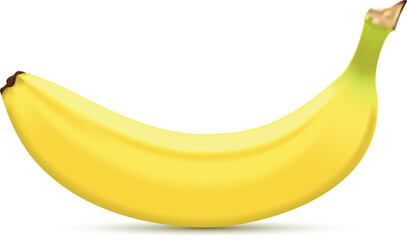 vector file of a banana