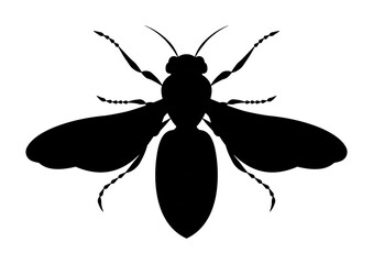 Black and White Honeybee Vector Clipart