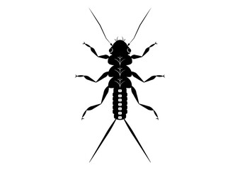 Black and White Stonefly Nymph Insect Clipart Vector isolated on White Background