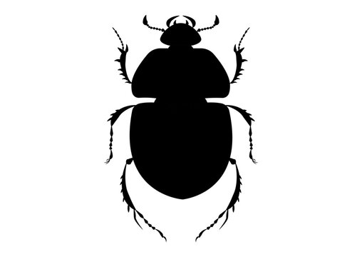 Black and White Trypocopris Vernalis Beetle Silhouette