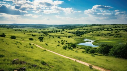 travel texas hill country illustration nature green, colorful outdoor, scenic flowers travel texas hill country - obrazy, fototapety, plakaty