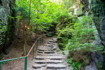 Fototapeta premium Prachovske skaly in sun lights, Cesky raj sandstone cliffs in Bohemian Paradise, Czech Republic